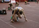 Mental training and performance