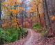 Training tips for autumn