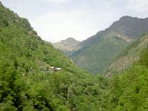 début ascension en forêt