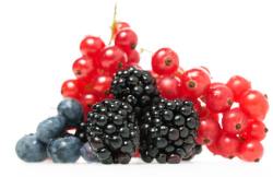 Antioxydants fruits rouges