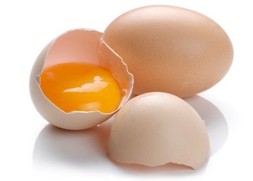 shell and egg yolk