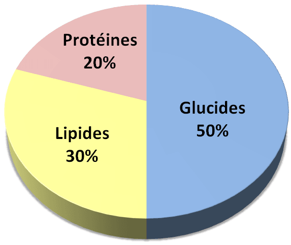 graphe quilibre protides, glucides, lipides