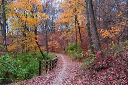 Chemin et fort aux couleurs de l'automne