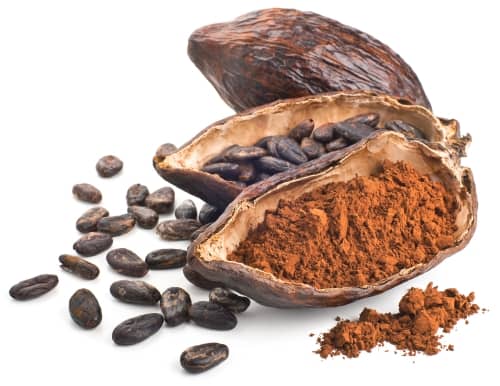 cabosse de cacao