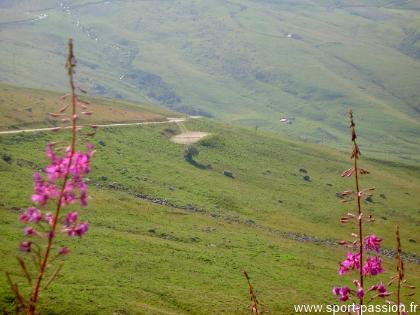 Col de la Madeleine - La route sillone au milieu des alpages