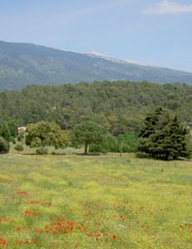 Mont Ventoux