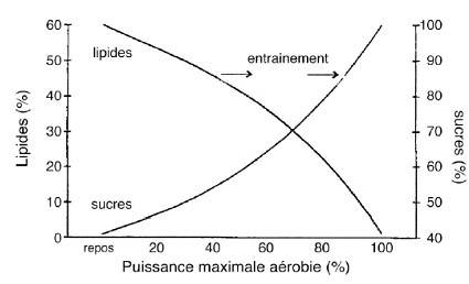 graphe de Brooks et Mercier