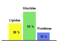 Equilibre glucides, protéines, lipides
