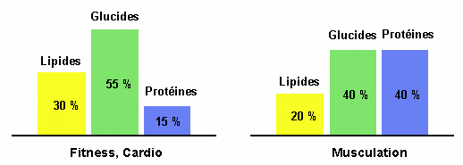 Graphe d'équilibre protéines, glucides, lipides