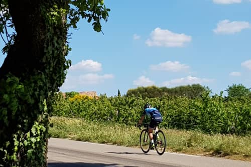 Cyclistes grimpant le Ventoux