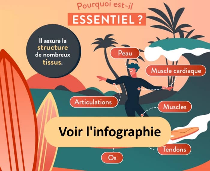 Infographie