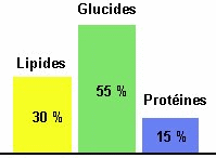Equilibre glucides, lipides, protéines