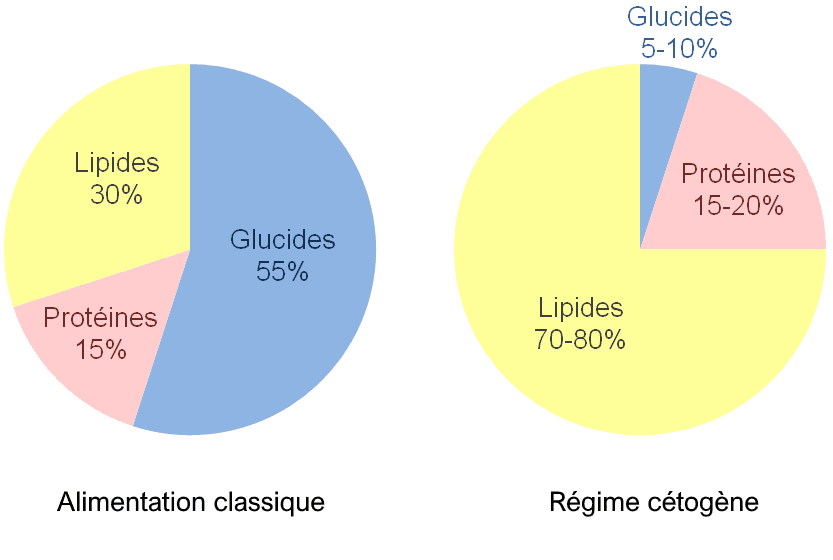 Schémas comparatifs alimentation classique versus régime cétogène