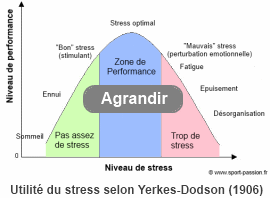 courbe de stress yerkes dodson