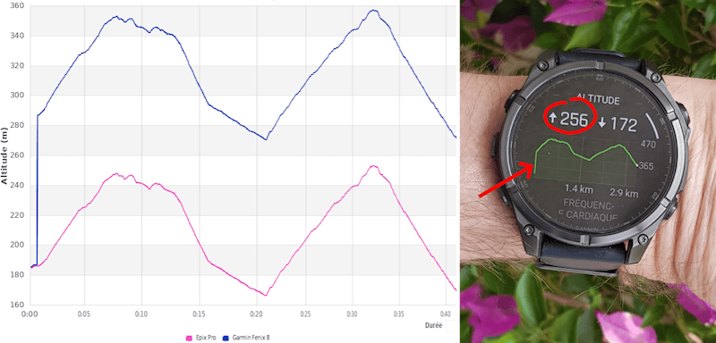 Grraphe et photo bug talonnage