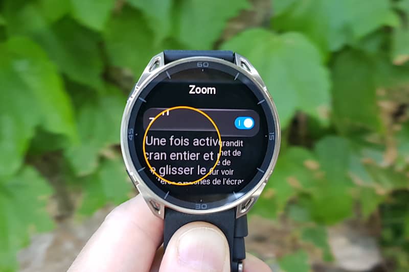 Loupe