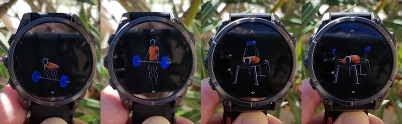 Animation musculation