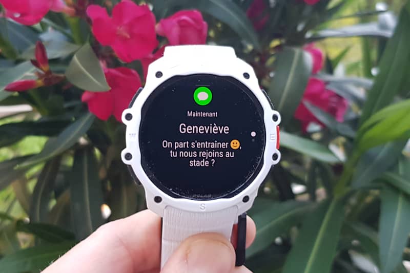 Notifications