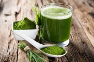 Le jus d'herbe de blé : un superaliment aux nombreuses vertus