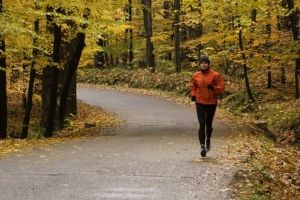 Conseils d'entraînement pour l'intersaison Homme courant en forêt en automne