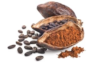 Les vertus du cacao